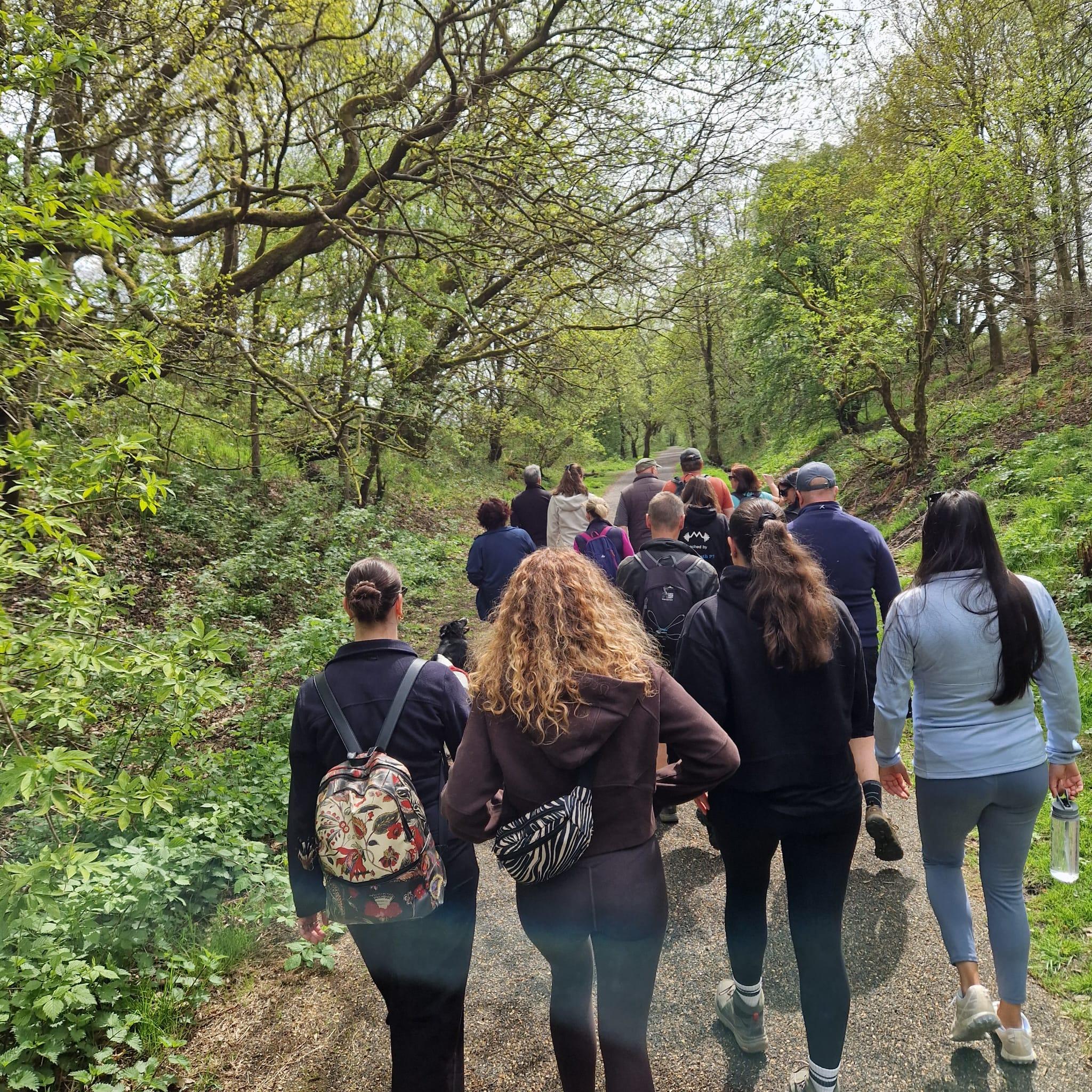 shout-netwalk.jpg shout-netwalk.jpg