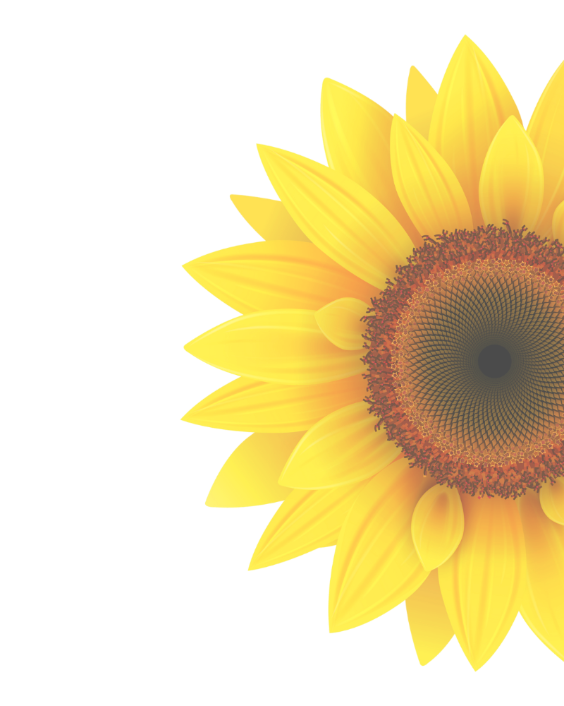 Sunflower Memories 2026